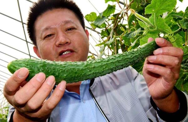 生鮮食材配送為什么大多不能與客戶(hù)建立長(cháng)期合作？