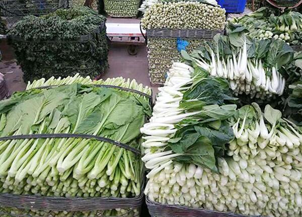 深圳佳惠鮮公司農副產(chǎn)品配送方案